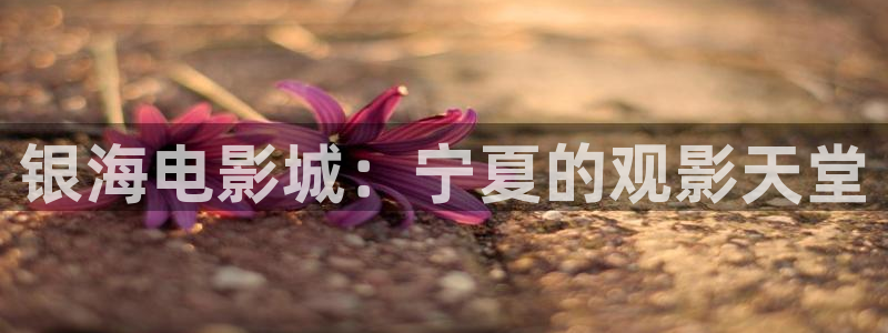 最新草草影院：银海电影城：宁夏的观影天堂