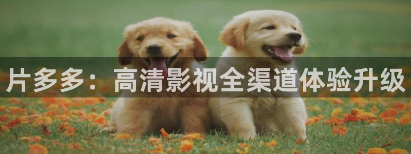 草草影院成人在线